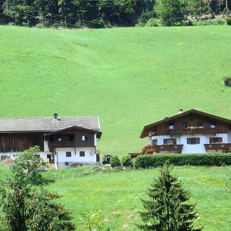 Zellerhof Apartman Finkenberg Kültér fotó